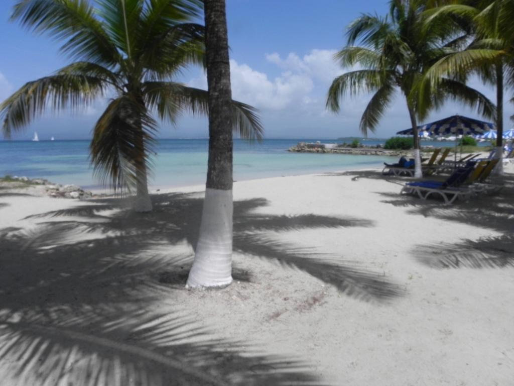 Appartement Bord De Mer Tres Fonctionnel , Sur La Plage & Vue Mer Exceptionnelle Le Gosier  Pokoj fotografie